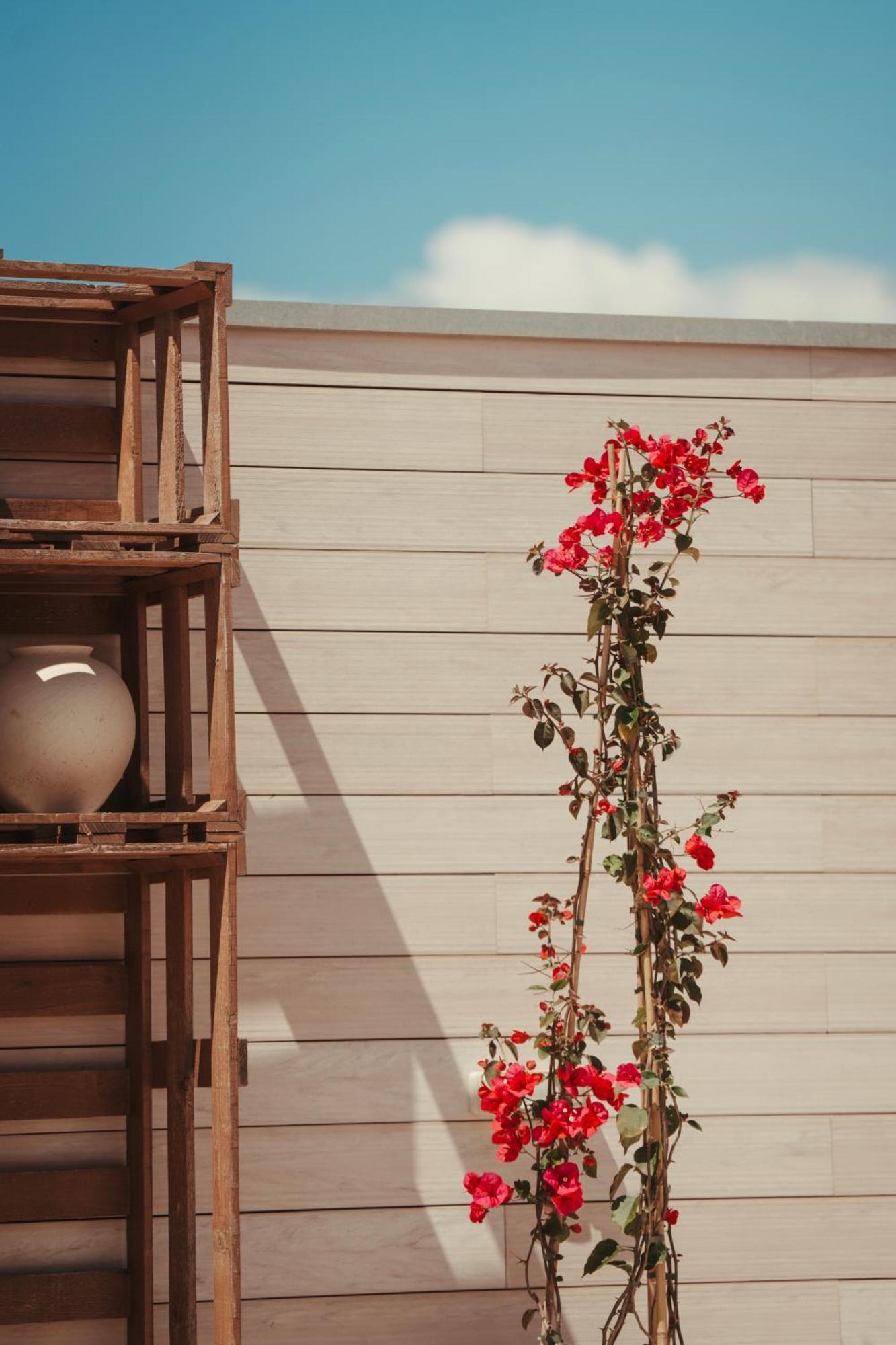 Hotel Honucai (Adults Only) Colonia de Sant Jordi Exterior photo